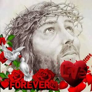 Meet your Posher, Rosa